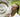 Wimbledon 2014