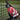 TECNIFIBRE TECNIFIBRE CURVA SPEED 355 padelio raketė