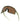 OAKLEY OAKLEY Sutro S Transfer Swirl/Prizm Bronze sportiniai saulės akiniai