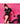 BICYCLE LINE BICYCLE LINE INTENSE <br /> MTB dviratininkės šortai be įkloto