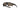 OAKLEY OAKLEY Radar EV Path Polished Black/Prizm 24k Polarized sportiniai akiniai