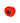 WILSON WILSON INFRARED BUTCAP teniso raketės koto dangtelis