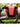 ORTLIEB ORTLIEB BACK ROLLER PRO PLUS <br /> dviračio krepšių komplektas