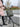 BROMPTON BROMPTON Borough tote S <br /> dviračio krepšys su rėmu