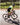 BICYCLE LINE BICYCLE LINE UNIVERSO S4 dviratininko šortai su įklotu