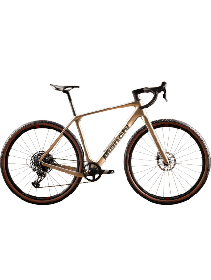 BIANCHI ARCADEX COMP GRX 610/822 12sp gravel dviratis