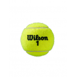 WILSON ROLAND GARROS (4x18) teniso kamuoliukų dėžė