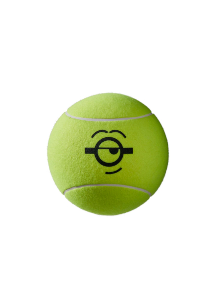 WILSON MINIONS 9 JUMBO BALL kamuoliukas