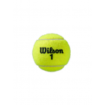 WILSON ROLAND GARROS CLAY COURT (4x2) teniso kamuoliukai