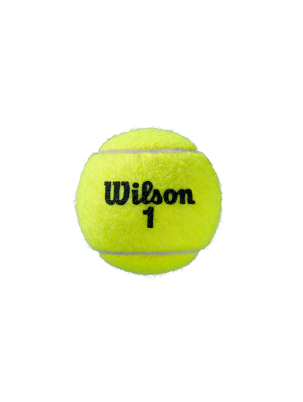 WILSON ROLAND GARROS CLAY COURT (4x2) teniso kamuoliukai