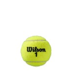 WILSON ROLAND GARROS (4x2) teniso kamuoliukai