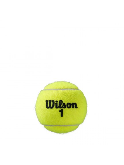 WILSON ROLAND GARROS (4x2) teniso kamuoliukai