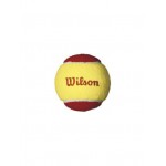 WILSON STARTER RED <br /> teniso kamuoliukai (36 kam.)