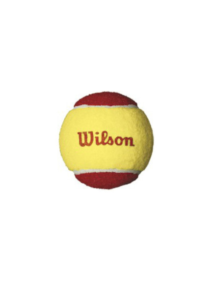WILSON STARTER RED <br /> teniso kamuoliukai (36 kam.)