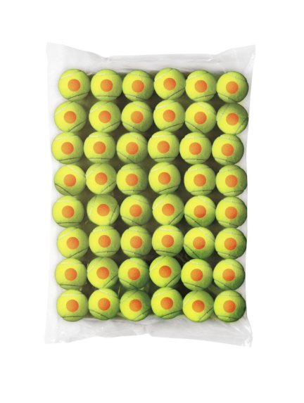 WILSON STARTER ORANGE <br /> teniso kamuoliukai (48 kam.)