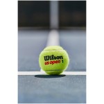 WILSON US OPEN teniso kamuoliukai (3)