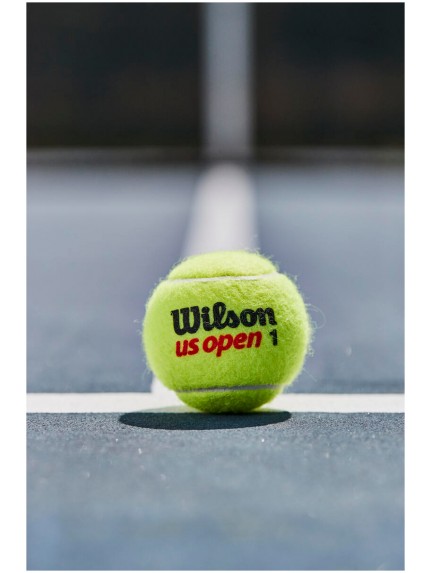 WILSON US OPEN teniso kamuoliukai (3)
