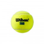WILSON TOUR PREMIER (3) teniso kamuoliukai
