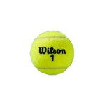 WILSON ROLAND GARROS (3) teniso kamuoliukai