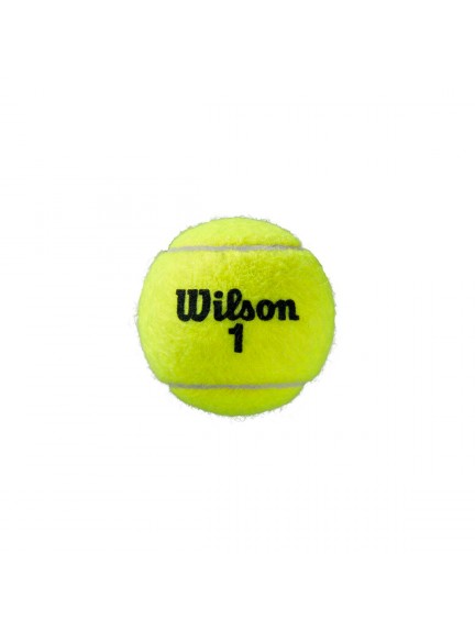 WILSON ROLAND GARROS (3) teniso kamuoliukai