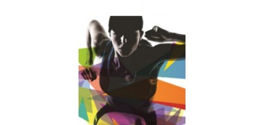 Vilniaus Sporto Festivalis 2015